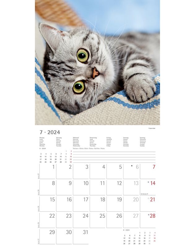 Kalender 2023 katten (uniek)