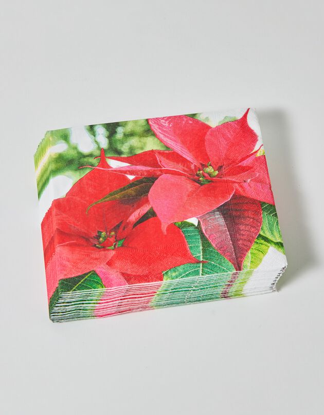 Papieren "poinsettia" servetten - set van 20 (rood)
