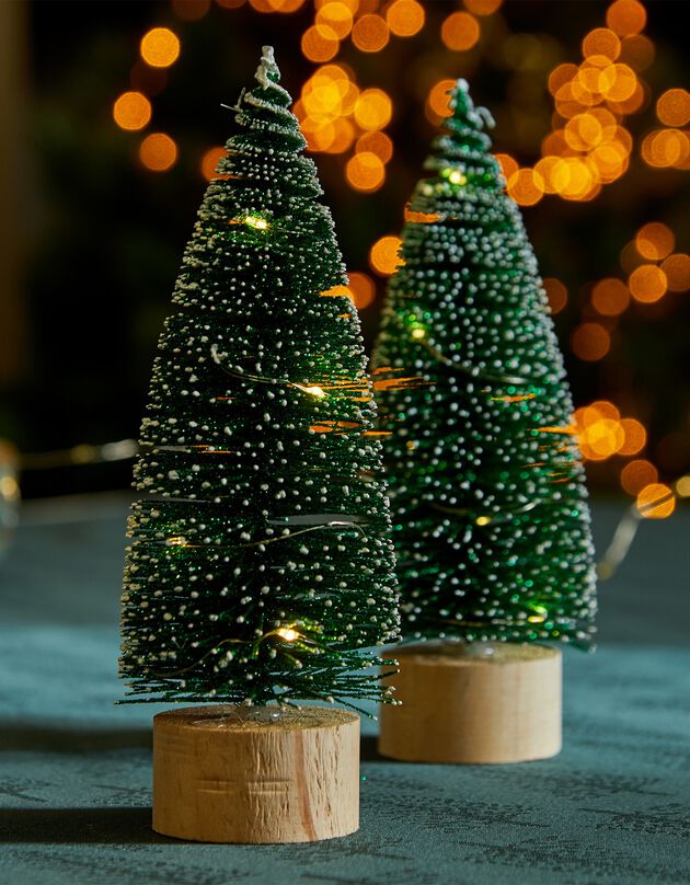 Set van 2 lichtgevende kerstboompjes met groene LED's (groen)
