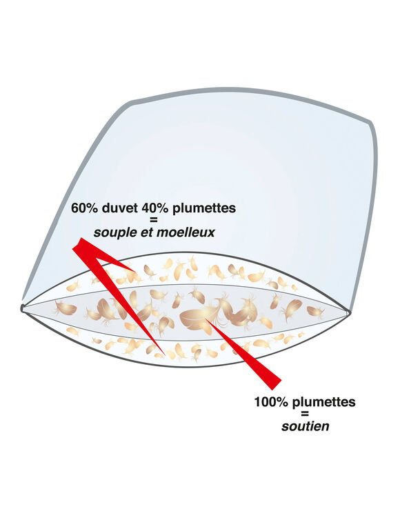 Oreiller prestige 3 zones duvet et plumettes  (blanc)