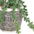 Kunstplant en pot in cement (zwart / wit)