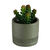 Groene kunstplant en pot in cement (groen)