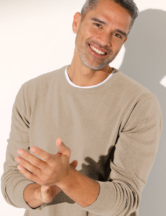Pull pur coton col rond manches longues (taupe chiné)