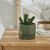 Groene kunstplant en pot in cement (groen)