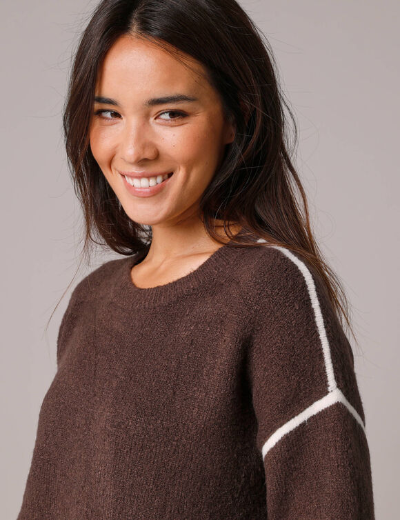 Pull bicolore en maille moelleuse  (chocolat)