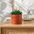 Groene kunstplant en pot in cement (terracotta)