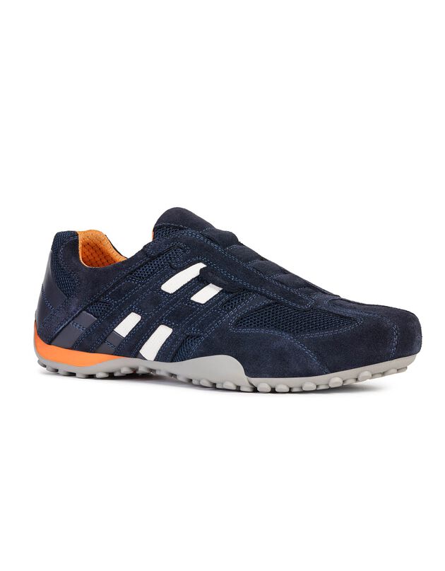 Sneakers Snake, marine (marine)