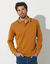 Effen polo in piquétricot met lange mouwen (honing)