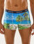 Bedrukte shorty in rekbare microvezel - set van 2 (groen)