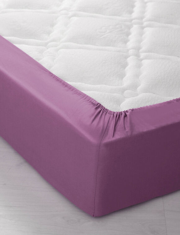 Drap-housse uni polyester - coton bonnet 32 cm (figue)