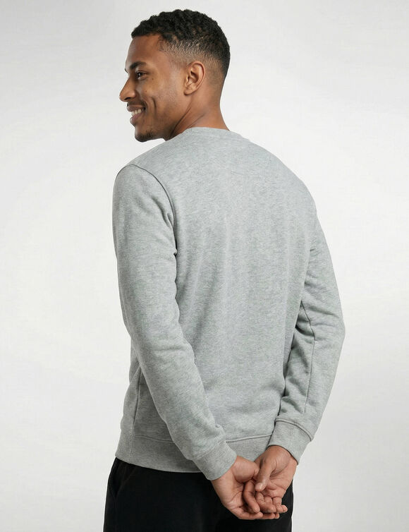 Sweat molleton col rond (gris chin&eacute;)