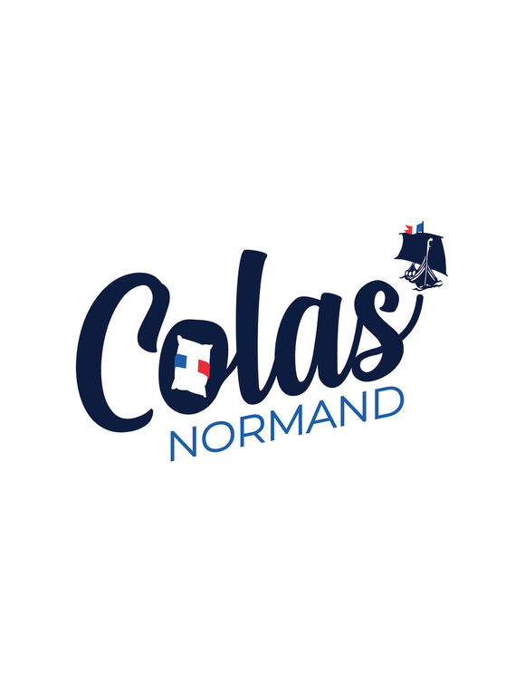 Traversin coton Qualigel ferme (blanc)