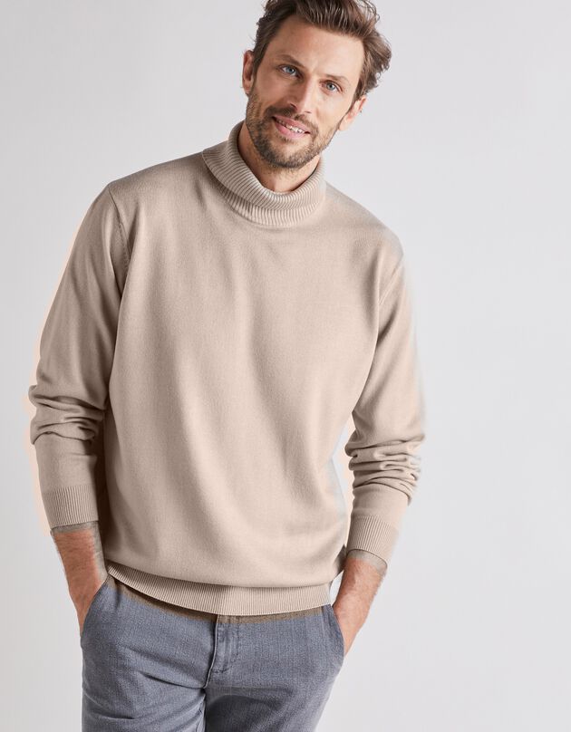 Pull col roulé, taupe clair, hi-res