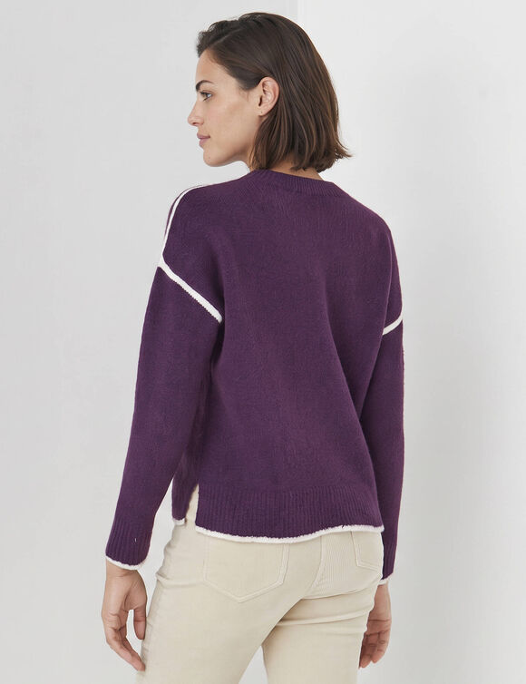 Pull bicolore en maille moelleuse  (prune)
