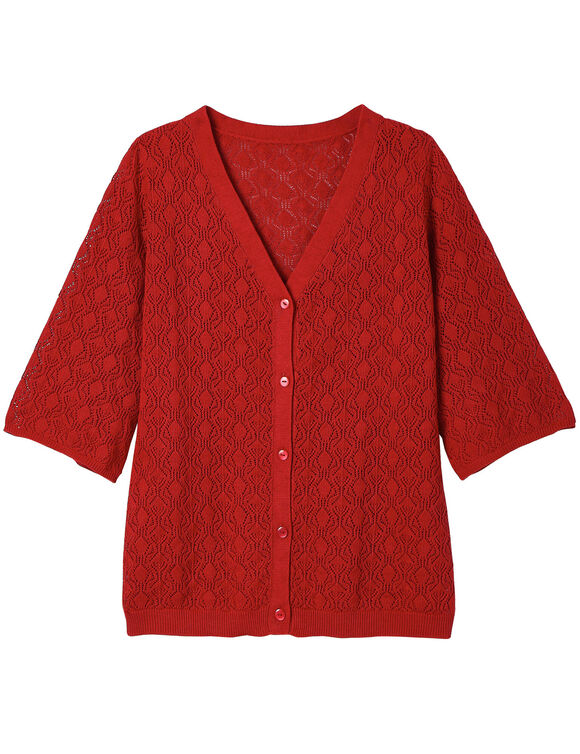 Gilet boutonn&eacute; en maille ajour&eacute;e  (terracotta)