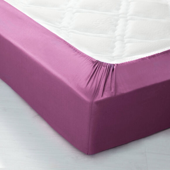 Drap-housse uni coton bonnet 32 cm (figue)