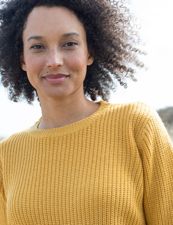 Pull col rond maille anglaise (curry)