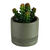 Groene kunstplant en pot in cement (groen)