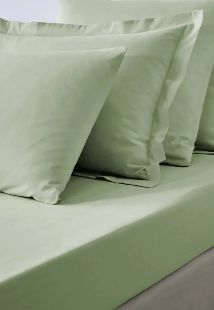 Draps housse Blancheporte