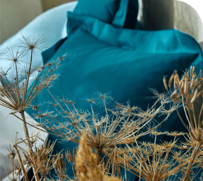 Effen bedlinnen in biokatoen Bedlinnen van 100% biokatoen Colombine® in pauwblauw, goedkoop | Blancheporte