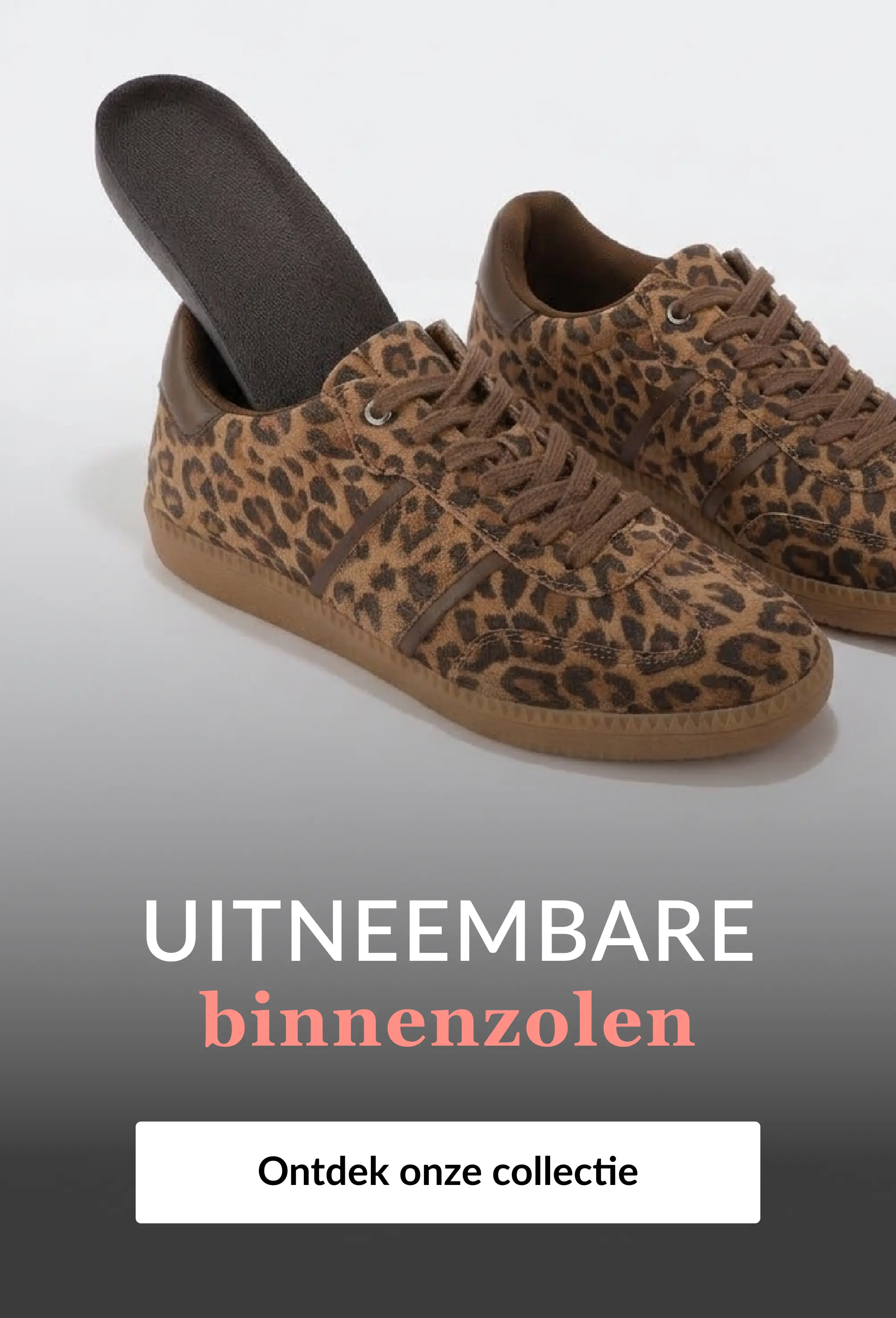 Ontdek onze selectie schoenen met uitneembare zolen op Blancheporte.be