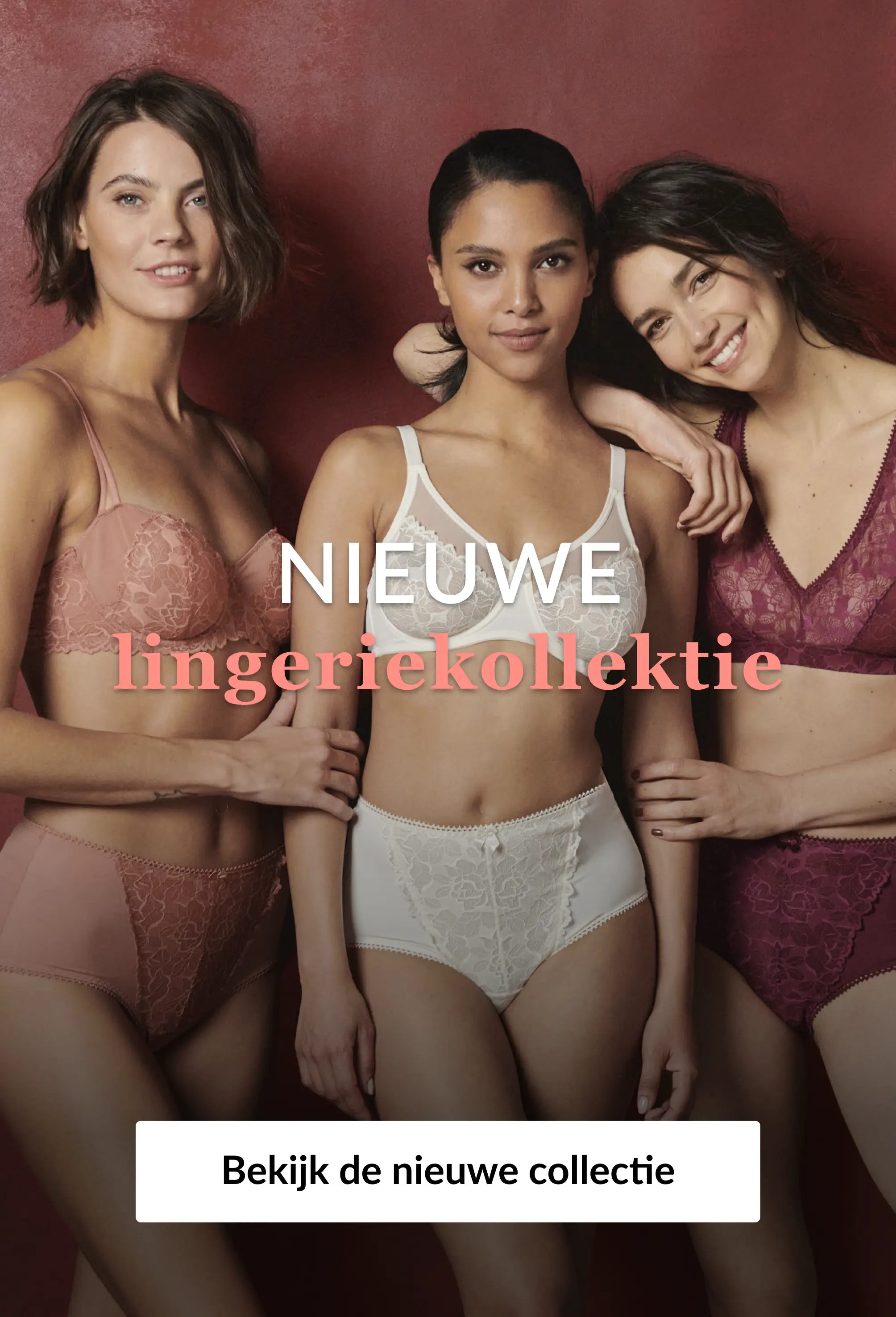 Ontdek onze lingerie-nieuwigheden op blancheporte.be