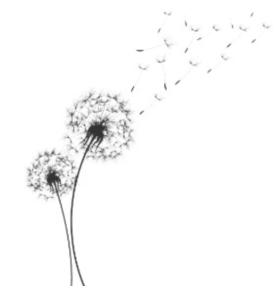 Flower Flower