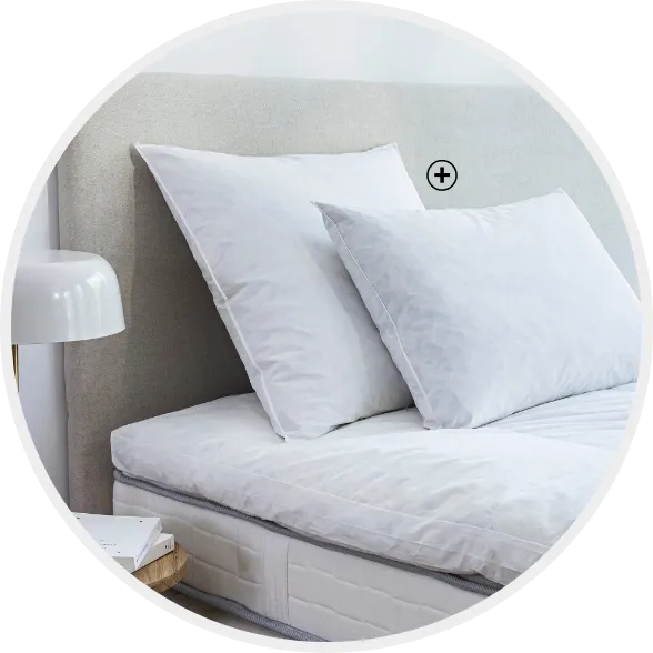 Hoofdkussen van dons en veren, stevig en ademend slaapcomfort | Hoe kies je je hoofdkussen? – Blancheporte