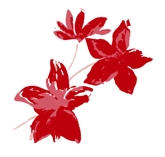 bloemen