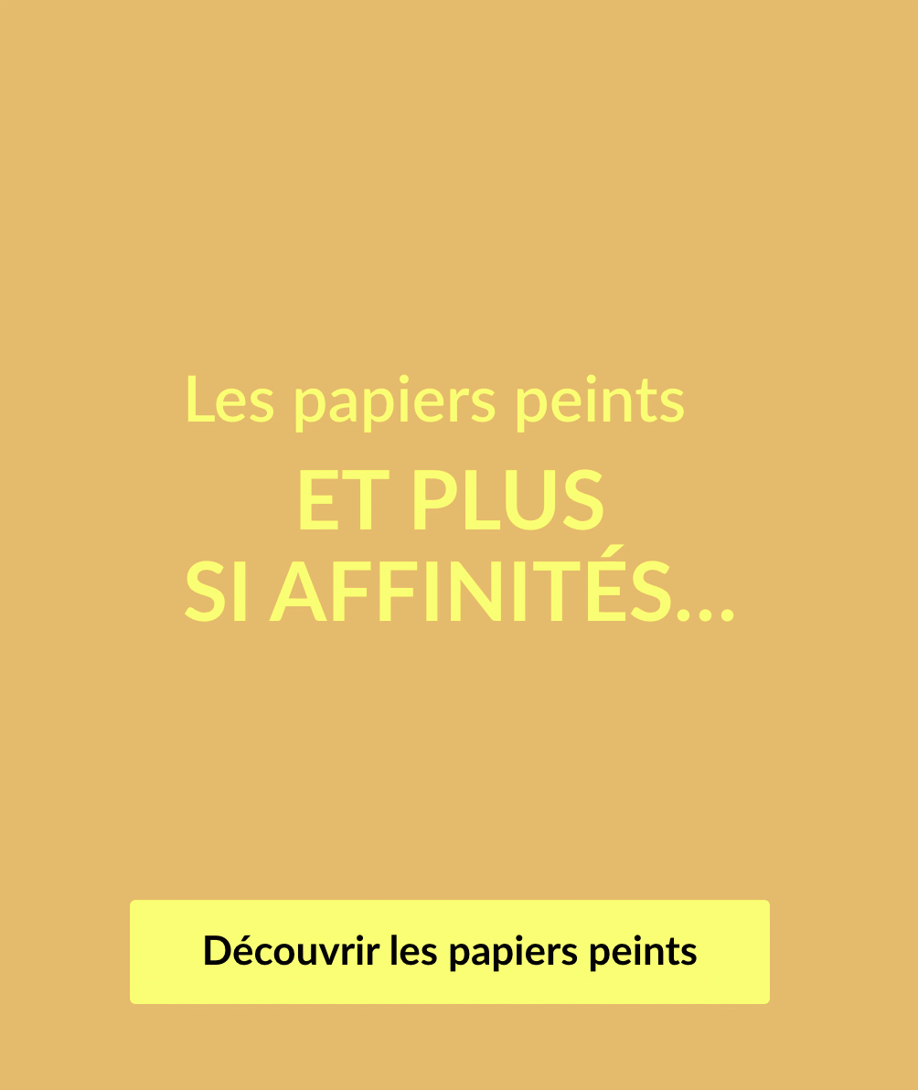 Découvrez le papier peint Blancheporte et nos nouveautés maison