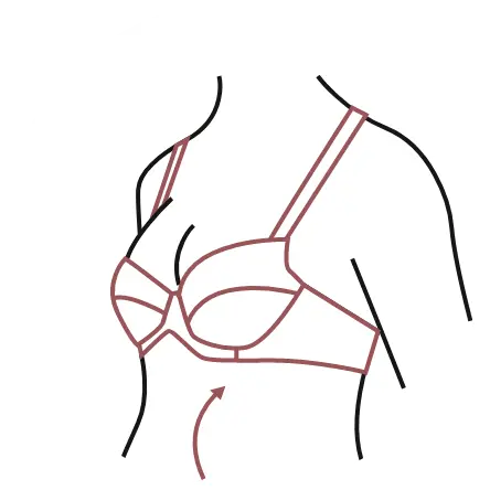 Astuces : comment choisir sa taille de soutien-gorge ? Blog Blancheporte