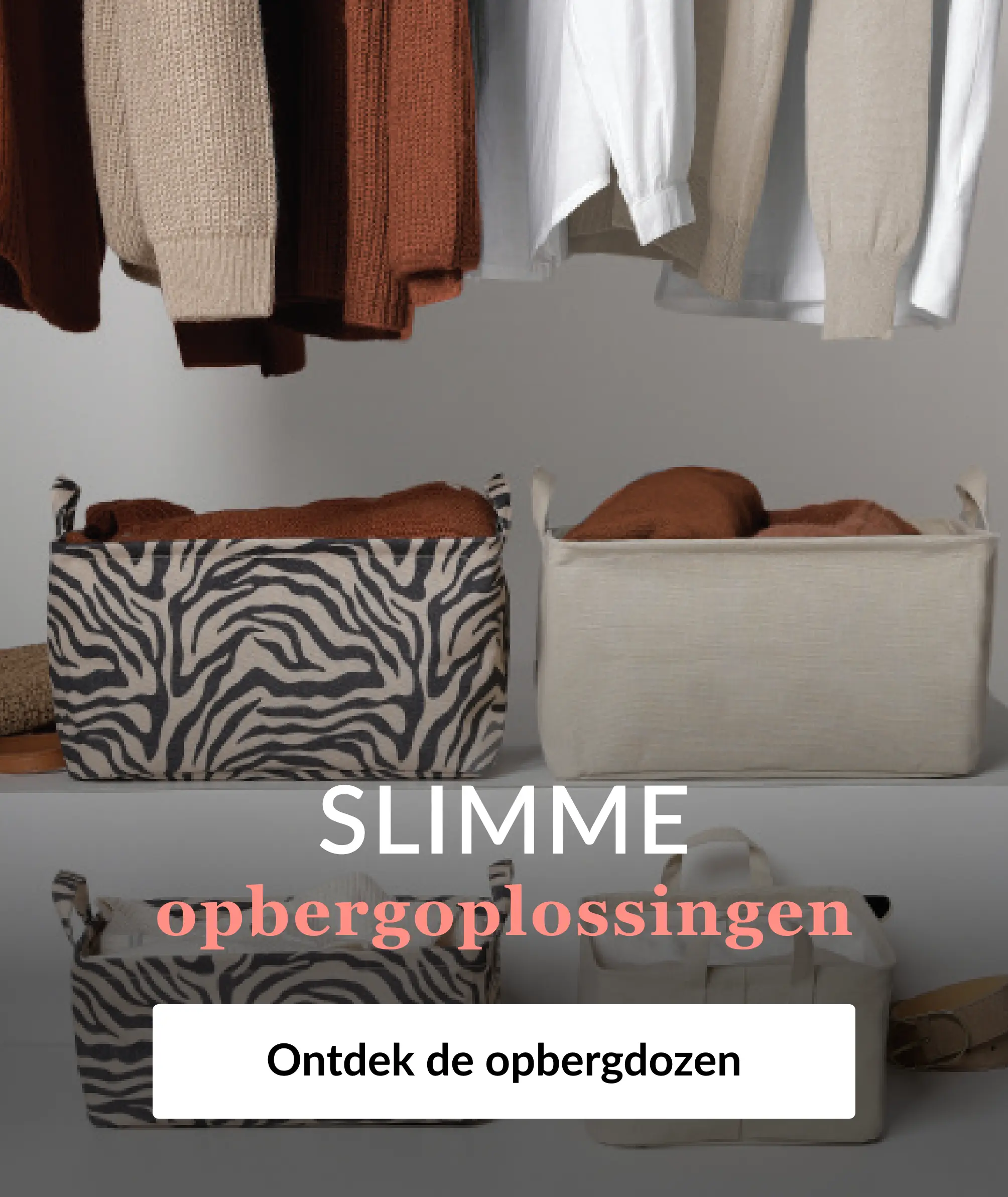 Ontdek onze selectie opbergdozen op Blancheporte.be
