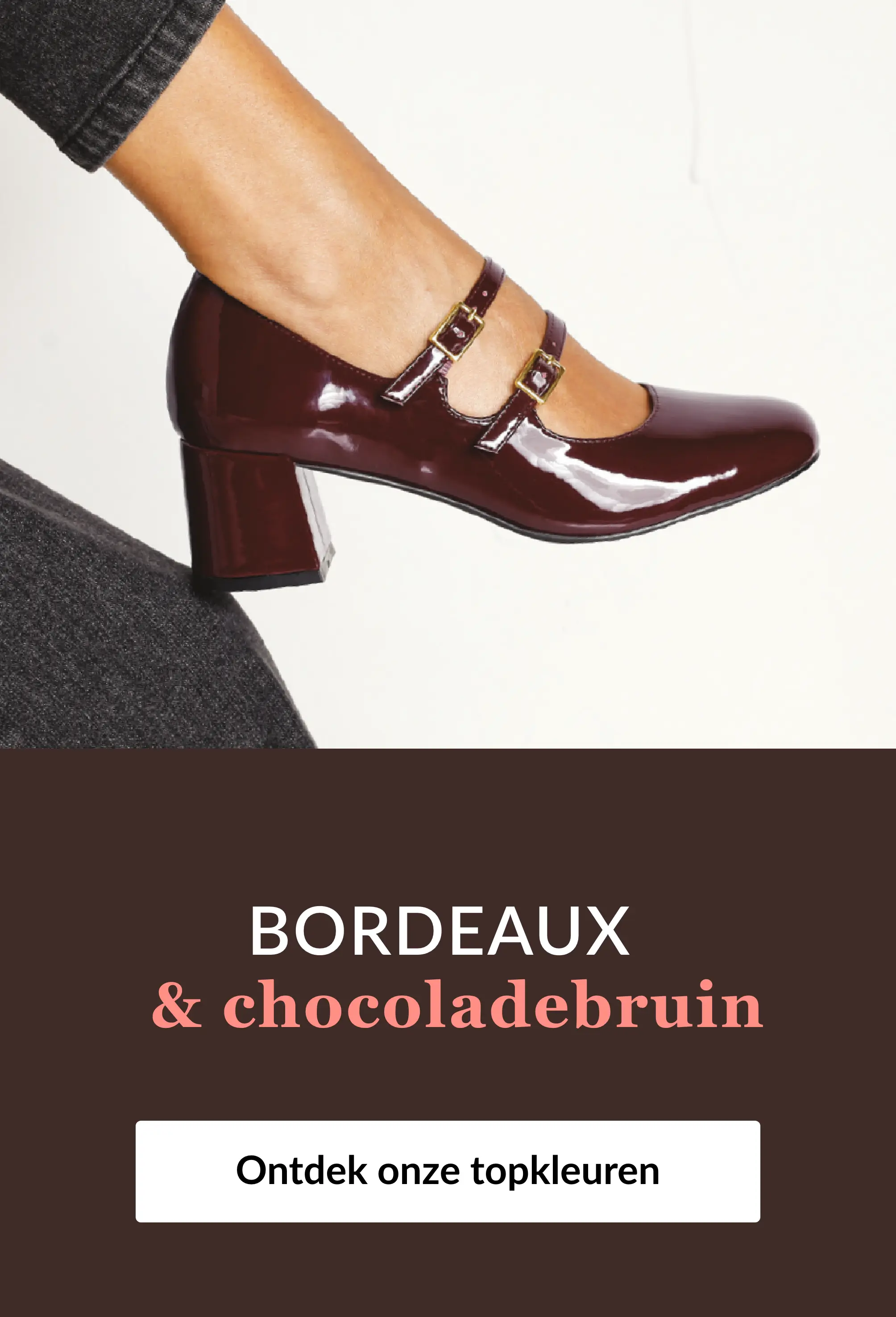 Ontdek onze selectie schoenen in bordeauxnuances op Blancheporte.be