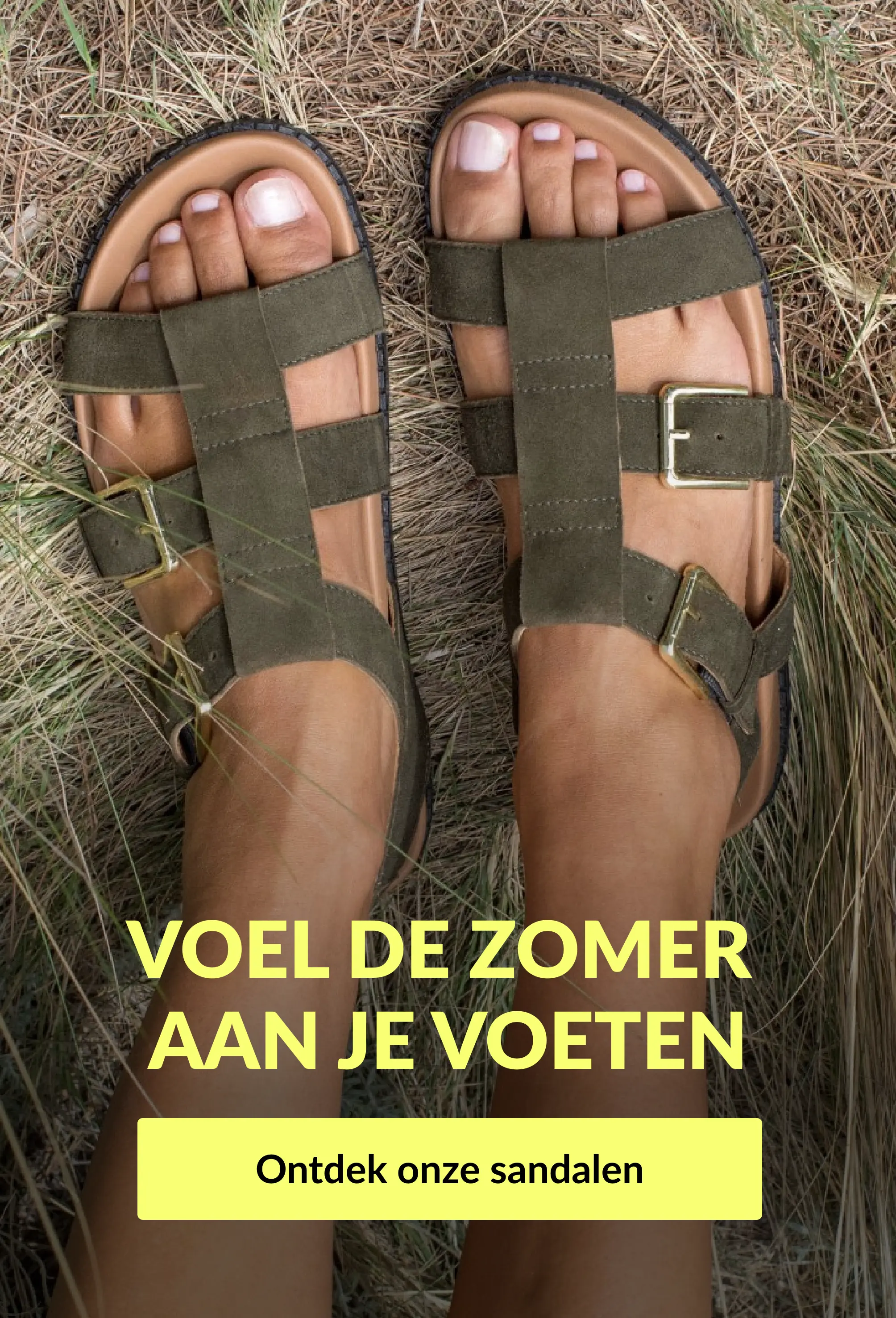 Zet de zomer aan uw voeten: ontdek onze sandalen op Blancheporte.be