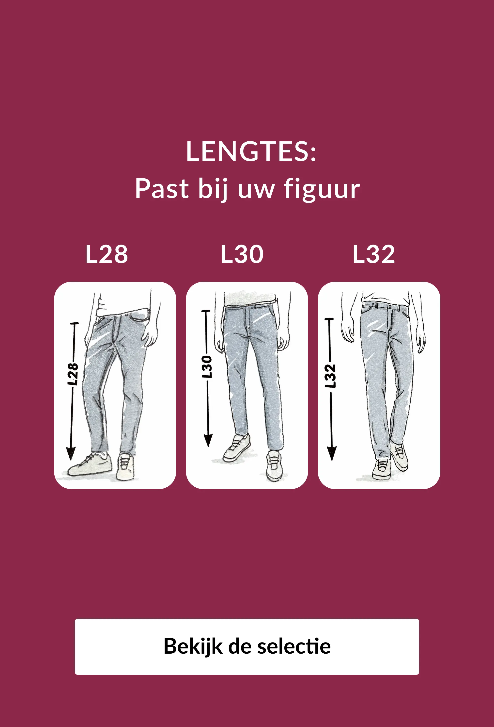 Ontdek onze jeans in verschillende lengtes op Blancheporte.be