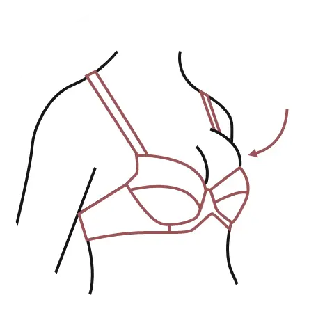 Astuces : comment choisir sa taille de soutien-gorge ? Blog Blancheporte